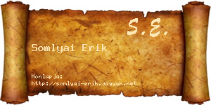 Somlyai Erik névjegykártya